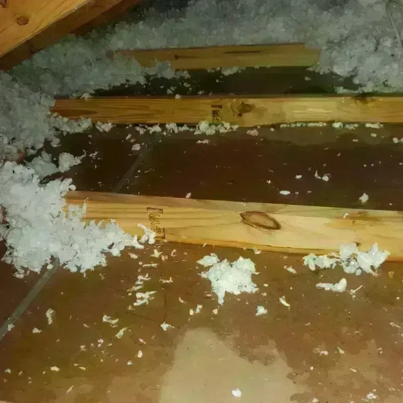 Attic Water Damage in Kendallville, IN